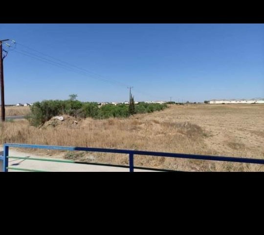 Our 8 acres of 2 houses are for sale, on the Old Nicosia Road, zero to the main road, no electricity road problem, closed to development.