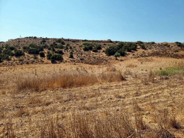 10.750 m2 LAND WITH BUILDING PERMISSON – İSKELE, BOĞAZ)