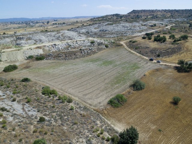 3.5 DONUMS زمین در دروازه بان