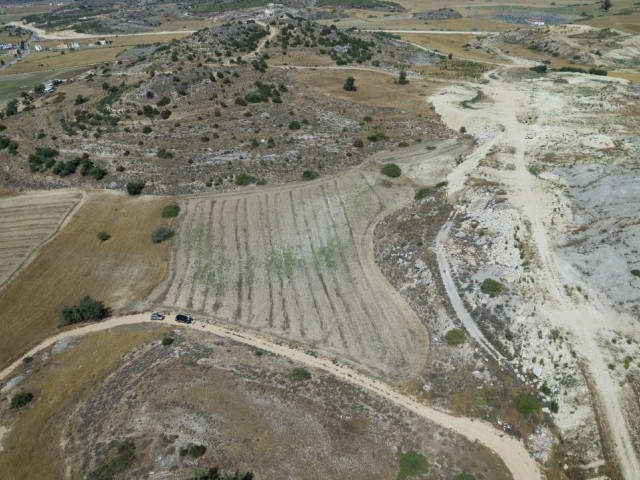 3.5 DONUMS زمین در دروازه بان