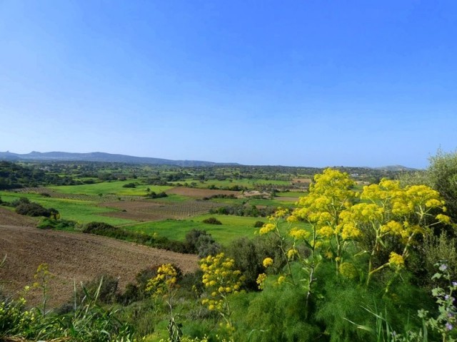 3 BED BUNGALOW WITH 1. 128m2 LAND - MEHMETÇIK