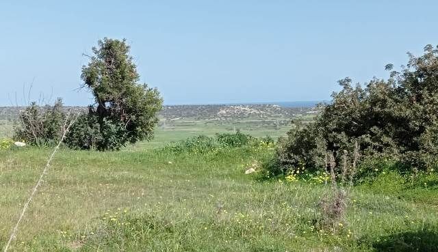 7.5 DONUMS OF LAND IN MEHMETCIK WITH SEA VIEWS