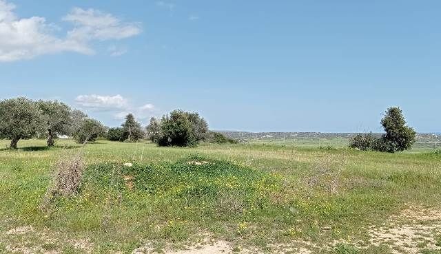 7.5 DONUMS OF LAND IN MEHMETCIK WITH SEA VIEWS