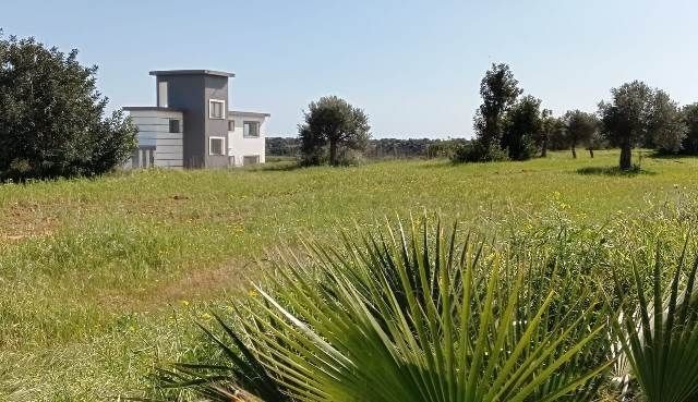 7.5 DONUMS OF LAND IN MEHMETCIK WITH SEA VIEWS