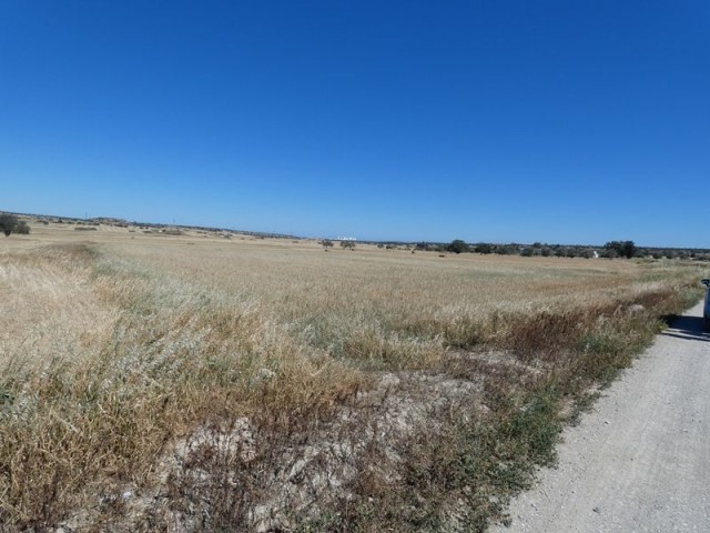 رشته برای فروش in Çayırova, ایسکله