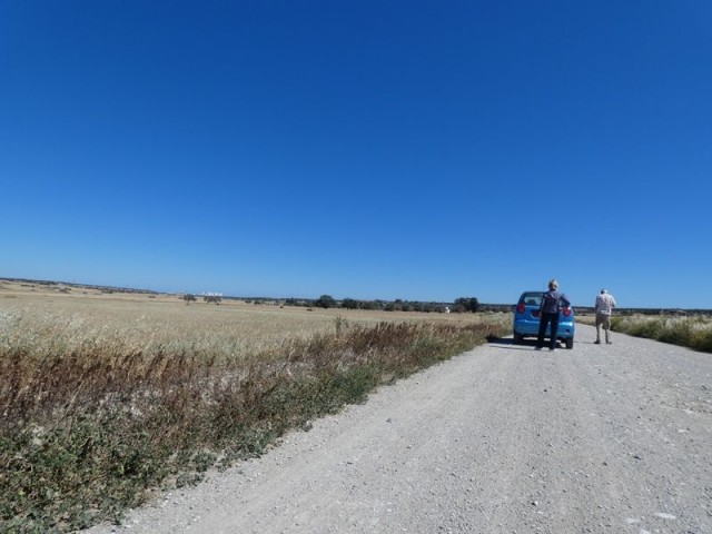 5.5 DONUM LAND IN ÇAYIROVA