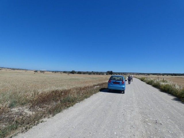 5.5 DONUM LAND IN ÇAYIROVA