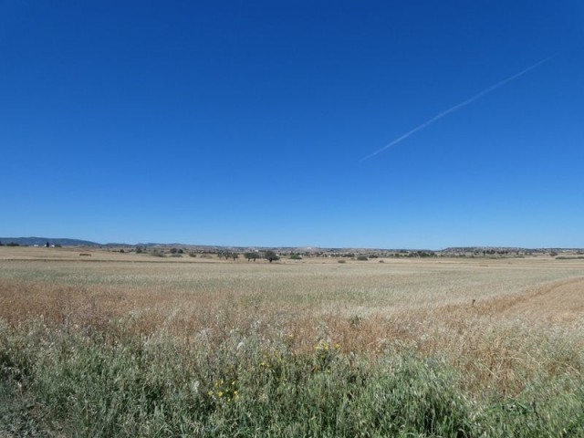 5.5 DONUM LAND IN ÇAYIROVA