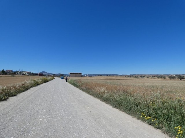 رشته برای فروش in Çayırova, ایسکله