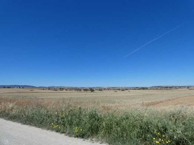 رشته برای فروش in Çayırova, ایسکله