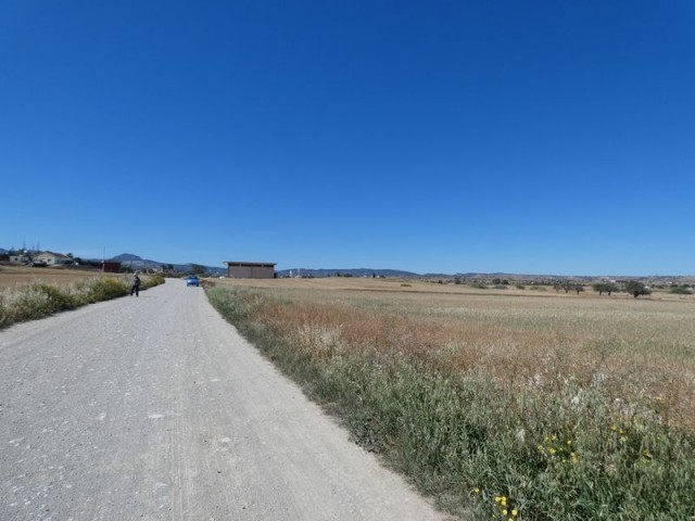 رشته برای فروش in Çayırova, ایسکله