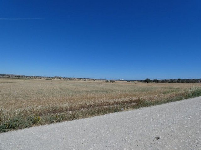 رشته برای فروش in Çayırova, ایسکله