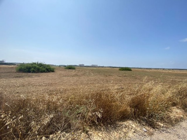 8 DONUMS OF LAND  IN BAFRA