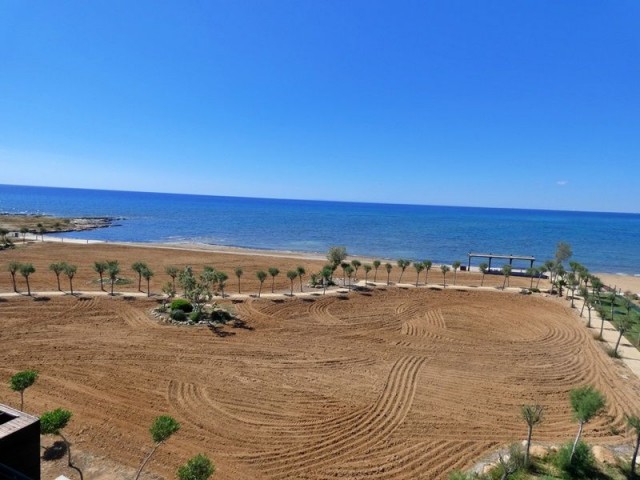 BEACHFRONT, PRIVATE ROOF TERRACE WITH JACUZZI AND ONSITE AMENITIES,  3 BED PENTHOUSE, BAFRA