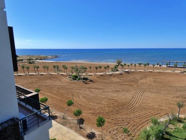 BEACHFRONT, PRIVATE ROOF TERRACE WITH JACUZZI AND ONSITE AMENITIES,  3 BED PENTHOUSE, BAFRA