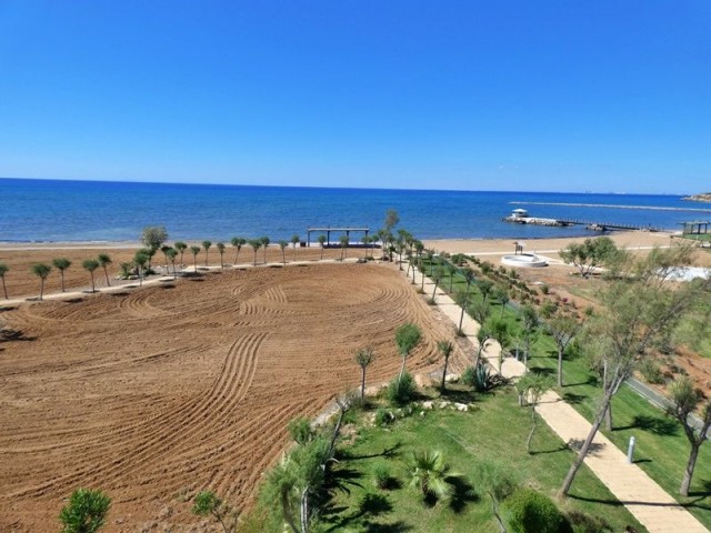 BEACHFRONT, PRIVATE ROOF TERRACE WITH JACUZZI AND ONSITE AMENITIES,  3 BED PENTHOUSE, BAFRA