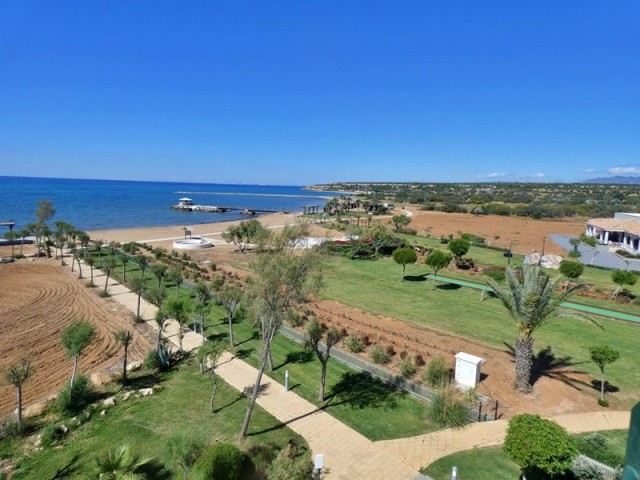 BEACHFRONT, PRIVATE ROOF TERRACE WITH JACUZZI AND ONSITE AMENITIES,  3 BED PENTHOUSE, BAFRA