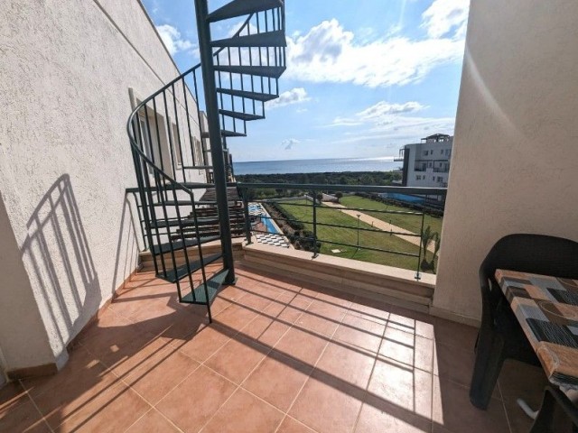 3-SCHLAF-PENTHOUSE AM STRAND MIT PRIVATER DACHTERRASSE, JACUZZI UND Annehmlichkeiten vor Ort – BAFRA