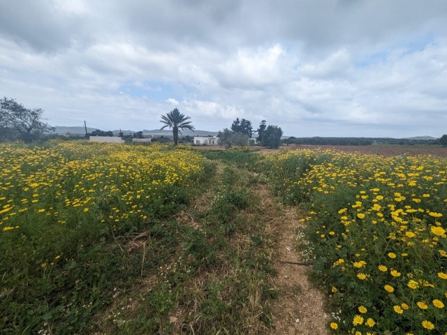 4 قطعه زمین در شهر زیبای مهمتتیک