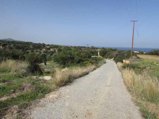 Feld Kaufen in Kaplıca, Iskele