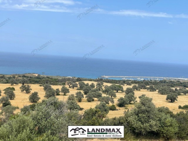 KIBRIS YENİ ERENKÖY, SİPAHİ YAT LİMANI KARŞISI, İNARA AÇİK, ORMAN VE DENİZ MANZARALI 2 DÖNÜM 2 EVLEK SATILIK ARAZİ!    İN 2 DÖNÜM 2 EVLEK LAND FOR SALE WHICH IS OPEN FOR THE CONSTRUCTION  DEVELOPMENT, HAS A BEAUTIFUL FOREST AND SEA VIEW AND LOCATED IN  SİPAHİ DISTRICT, YENİ ERENKÖY NORTH CYPRUS!