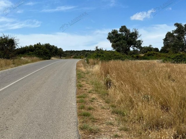 Mehmetchik-Kumyali Autobahn mit offenem Strom, Asphaltstraße und 40 Olivenbäumen mit herrlichem Meerblick 11 Hektar 2 evlek (15.387 m2) Grundstück zum Verkauf! IN 11 Hektar 2 Häuse