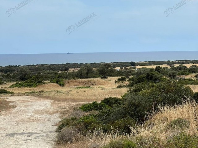 Mehmetchik-Kumyali Autobahn mit offenem Strom, Asphaltstraße und 40 Olivenbäumen mit herrlichem Meerblick 11 Hektar 2 evlek (15.387 m2) Grundstück zum Verkauf! IN 11 Hektar 2 Häuser (15 387 m2) Land zum Verkauf, auf der Mehmetchik-Kumyali main road, ① electricity, asphalt road and ** 