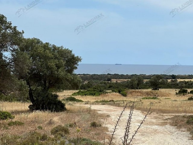 Mehmetchik-Kumyali Autobahn mit offenem Strom, Asphaltstraße und 40 Olivenbäumen mit herrlichem Meerblick 11 Hektar 2 evlek (15.387 m2) Grundstück zum Verkauf! IN 11 Hektar 2 Häuser (15 387 m2) Land zum Verkauf, auf der Mehmetchik-Kumyali main road, ① electricity, asphalt road and ** 