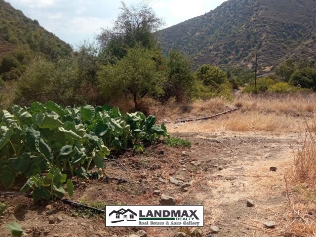 Turkish title land for sale in 4 Dönüm 1 Evlek 3200 square meters area, suitable for gardening without water problem. Location: in Yeşilırmak region of Lefke town in North Cyprus❗❗❗ 