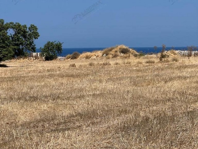 Land FOR SALE Near The Sea which is suitable for construction of the residential complex  ❗️❗️❗️