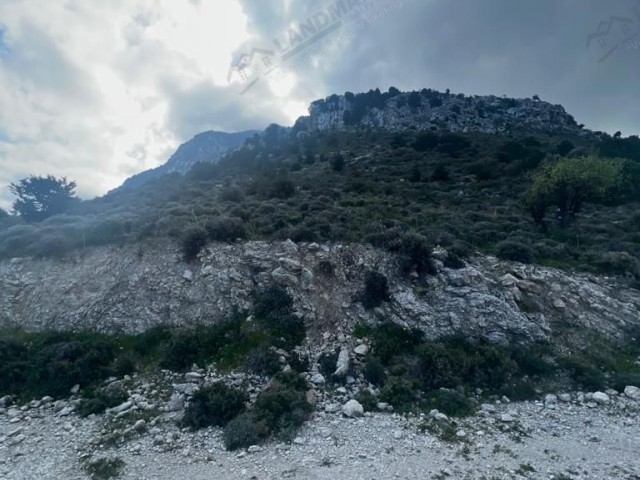 234 Dekar Land zu verkaufen in GIRNE