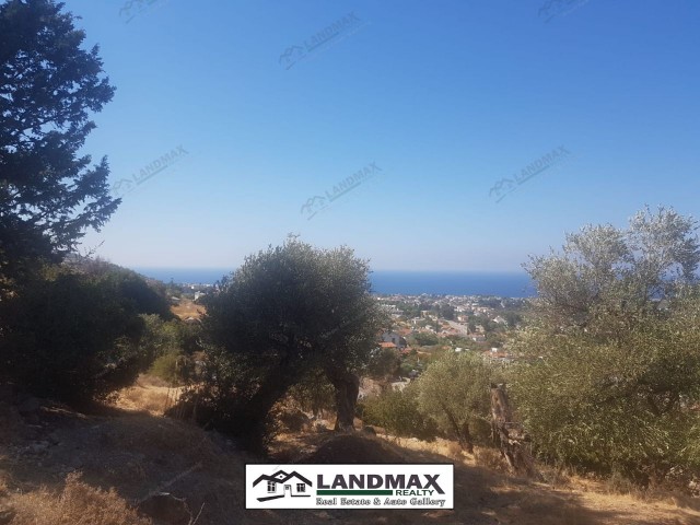 234 SQUARED PERIMETER LAND FOR SALE in GIRNE