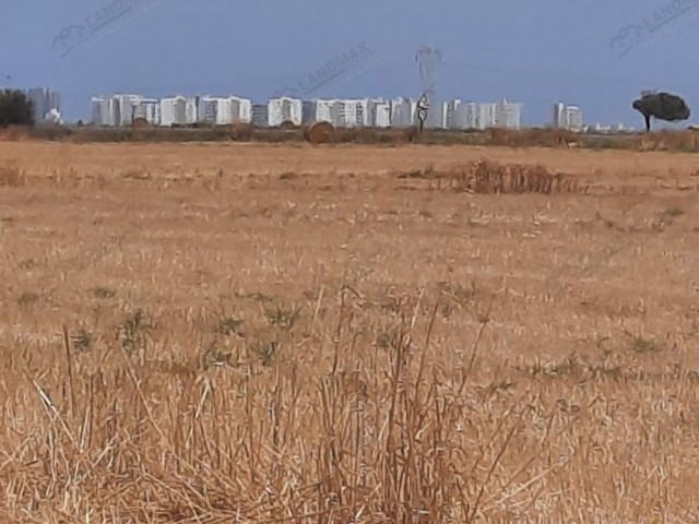 42 هکتار زمین سرمایه گذاری برای فروش در İSKELE BORDER