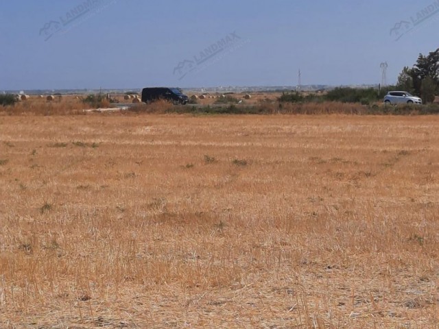 42 هکتار زمین سرمایه گذاری برای فروش در İSKELE BORDER