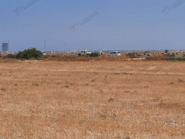 42 هکتار زمین سرمایه گذاری برای فروش در İSKELE BORDER