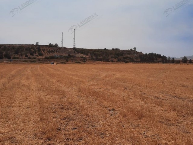 42 Acres OF INVESTMENT LAND FOR SALE ON THE ISKELE BORDER