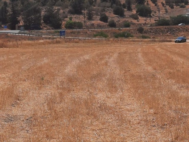 42 هکتار زمین سرمایه گذاری برای فروش در İSKELE BORDER