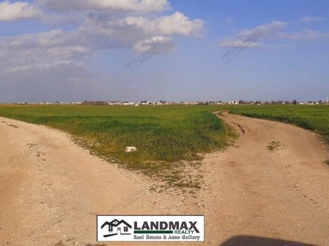 31830 m2 land for sale in GAZIMAĞUSA ALANİÇİ REGION