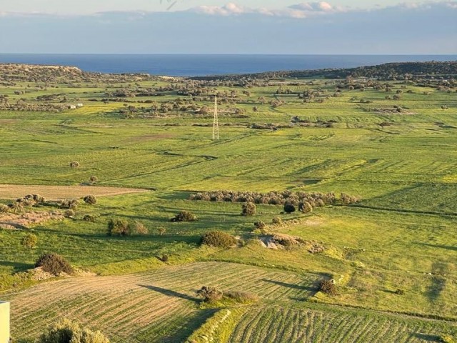 GAZİMAĞUSA MEHMETÇİK KÖYÜNDE SATILIK 17900 m2 Resmi Yolu Mevcut Satılık Arazi