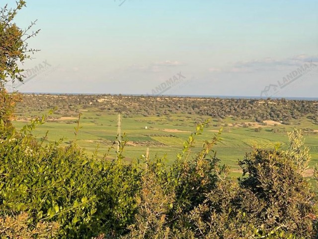 GAZİMAĞUSA MEHMETÇİK VILLAGE FOR SALE 17900 m2 Land For Sale With Official Road Available