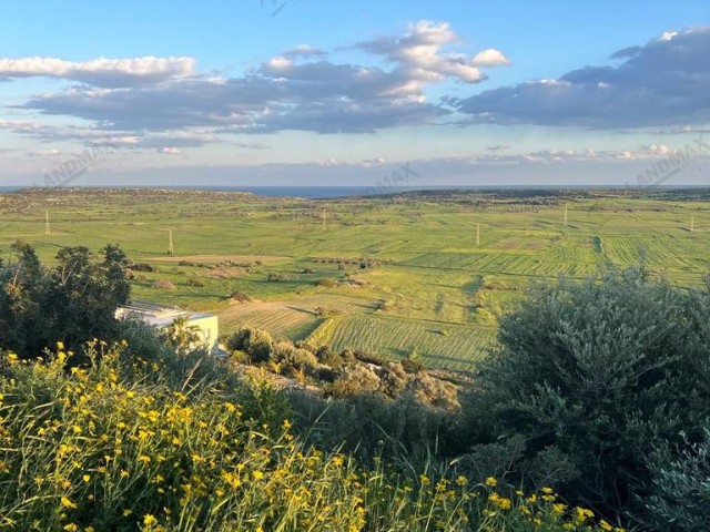 GAZİMAĞUSA MEHMETÇİK KÖYÜNDE SATILIK 17900 m2 Resmi Yolu Mevcut Satılık Arazi