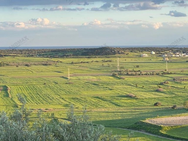 GAZİMAĞUSA MEHMETÇİK KÖYÜNDE SATILIK 17900 m2 Resmi Yolu Mevcut Satılık Arazi