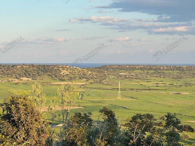 GAZİMAĞUSA MEHMETÇİK VILLAGE ZU VERKAUFEN 17900 m2 Land zu verkaufen mit offizieller Straße verfügbar