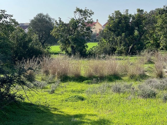 GRUNDSTÜCK ZU VERKAUFEN IN DER REGION İSKELE BAHÇELER ZYPERN, 30 METER VON DER OFFIZIELLEN STRAßE UND 35 METER VON DER ELEKTRISCHEN INFRASTRUKTUR ENTFERNT, 1 TÜR MIT 3 EVLEK, 2400a