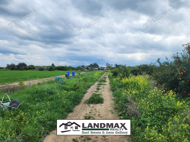 Gayretköy, our 8 decare garden with its own water well, solar energy, Murcott tangerine trees, and no road problems is for sale.