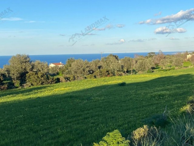 NORTH CYPRUS: ZONED LAND WITH FULL SEA VIEW IN SİPAHI