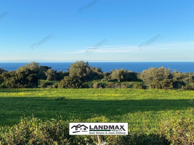 NORTH CYPRUS: ZONED LAND WITH FULL SEA VIEW IN SİPAHI