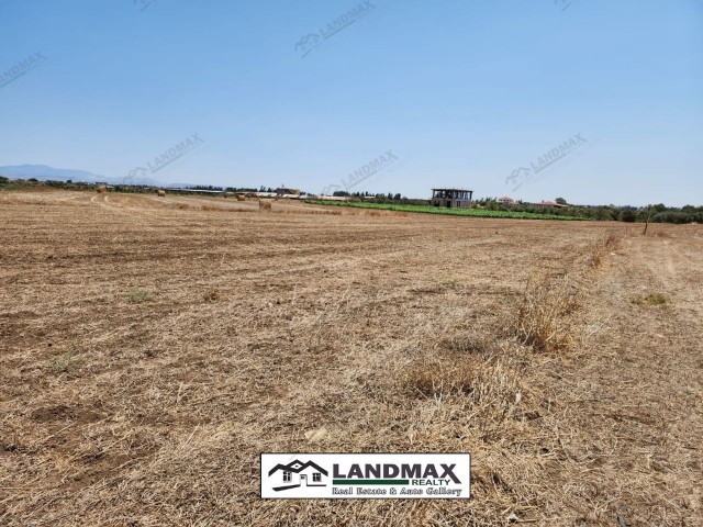 NORTH CYPRUS: LAND FOR SALE WITH TURKISH KOÇANLI IN GAZİVERAN, LEFKE