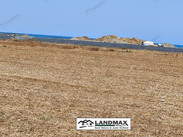 قبرس شمالی: زمین برای فروش با کوچانلی ترکیه در GAZİVERAN، LEFKE