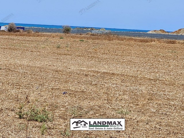 NORTH CYPRUS: LAND FOR SALE WITH TURKISH KOÇANLI IN GAZİVERAN, LEFKE